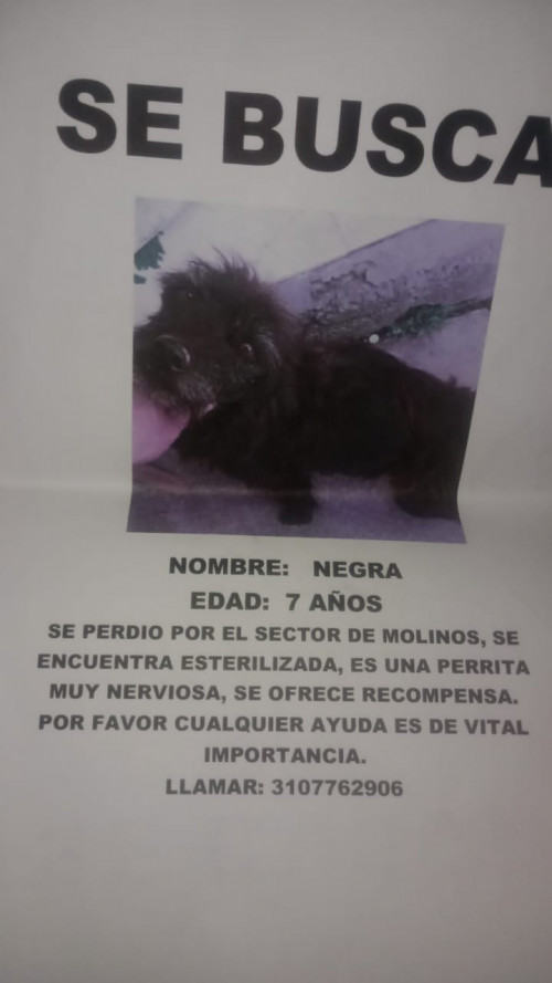Negra