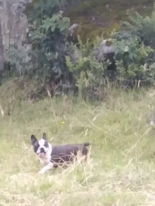 Lucy