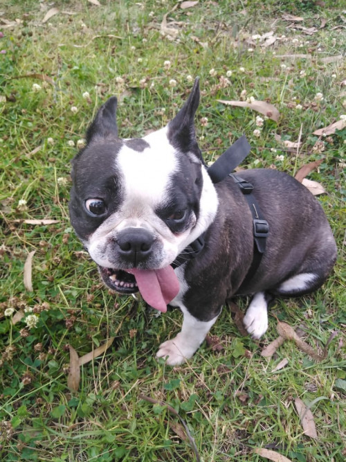 Lucy