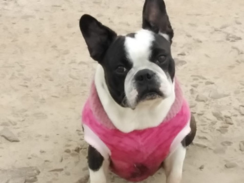 Lucy