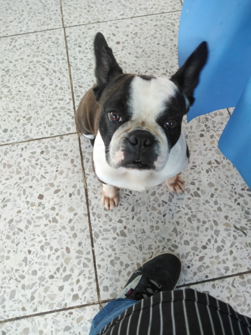 Lucy