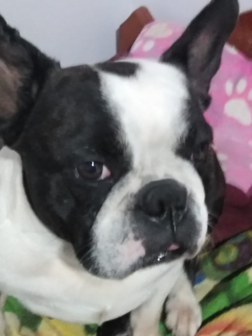 Lucy