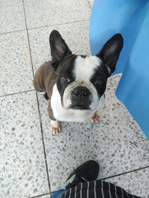 Lucy