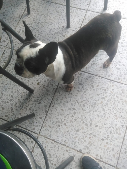 Lucy