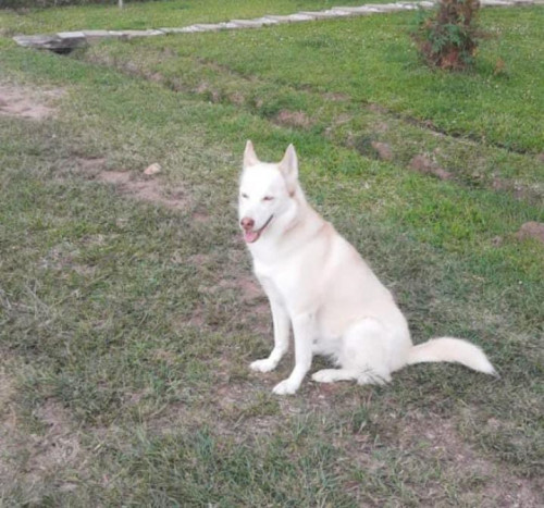 Trixie