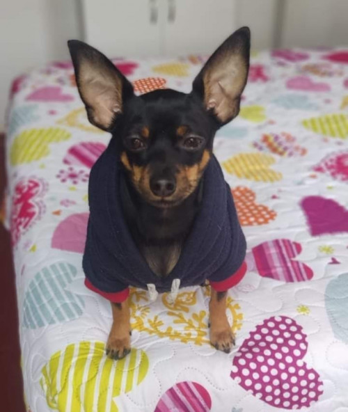 Geronimo Ospina