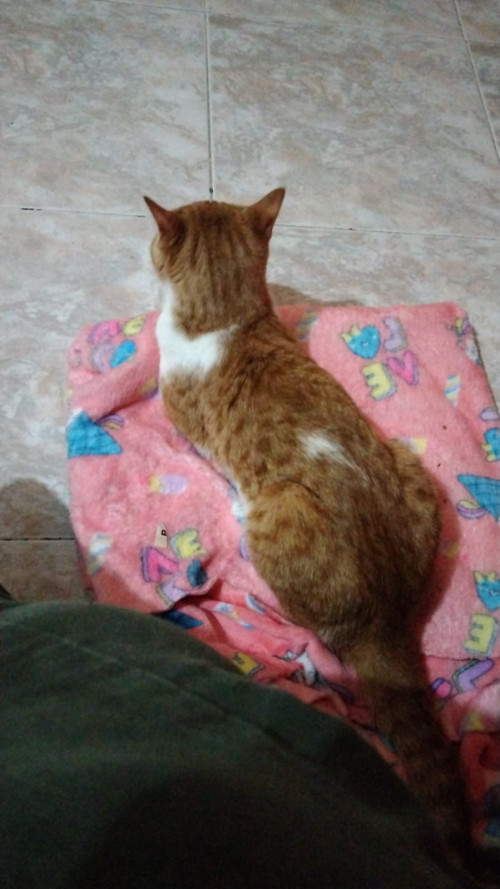 Micky