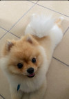Foto de Blue en Culiacán Sinaloa #1