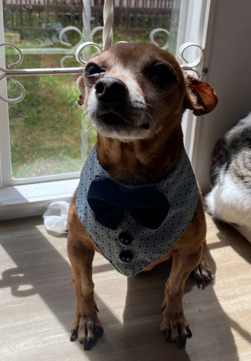 Mateo