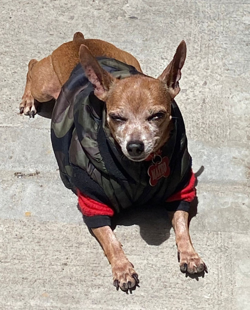 Mateo