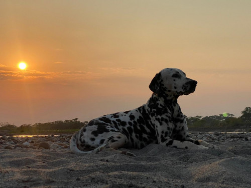 Rio