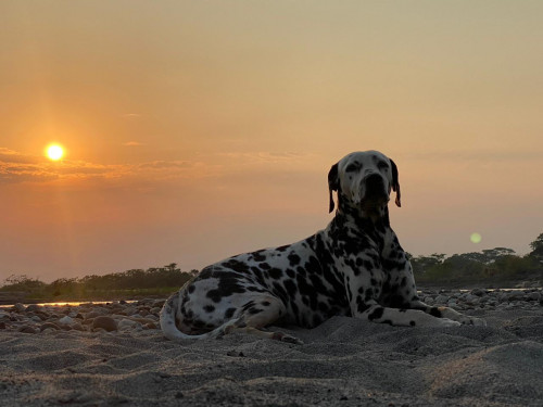 Rio