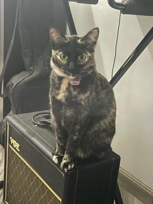Bella