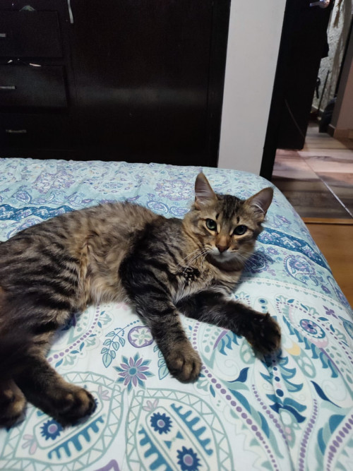 Gary