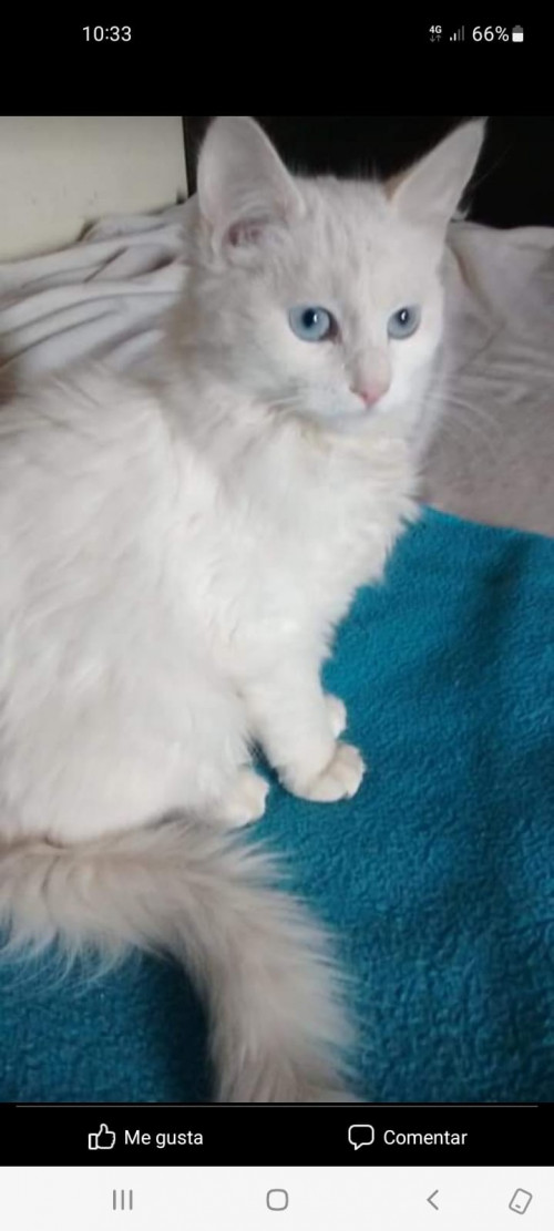 Luna