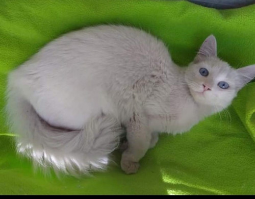 Luna