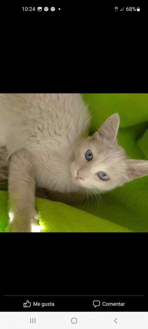 Luna