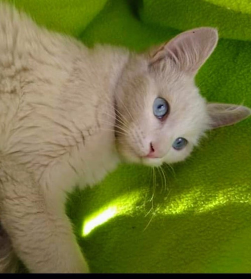 Luna
