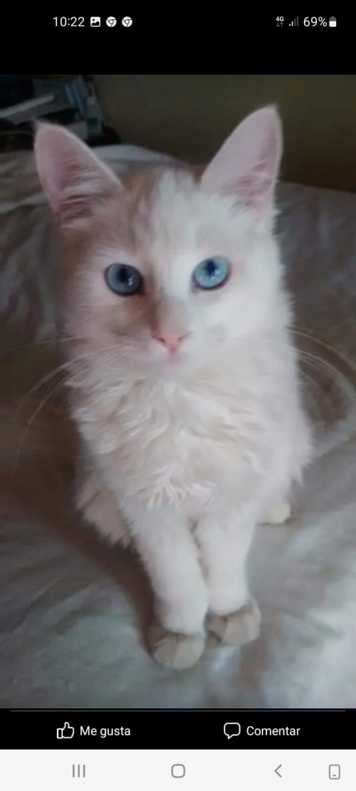 Luna