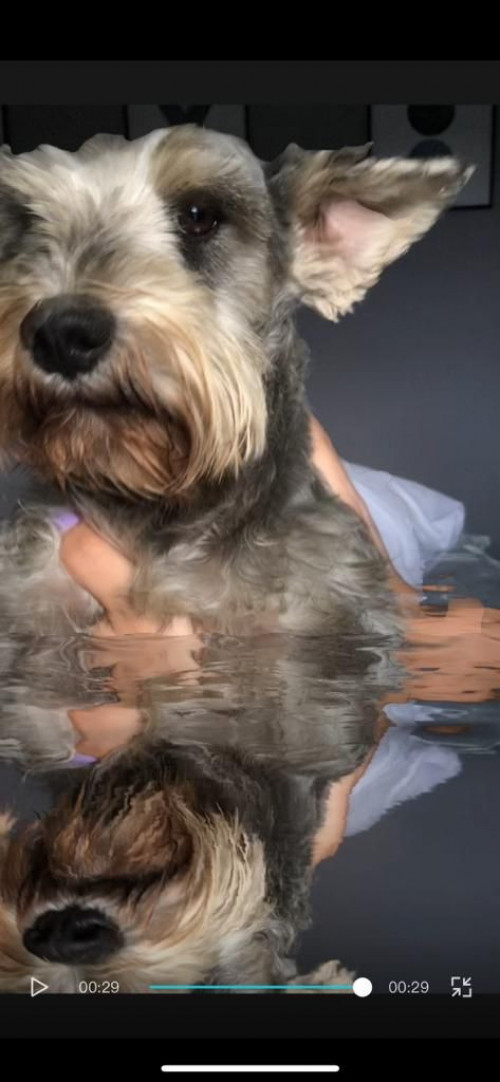 Peter