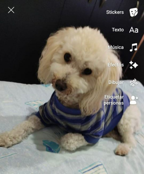 Matías