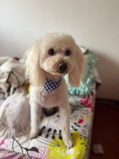 Matías