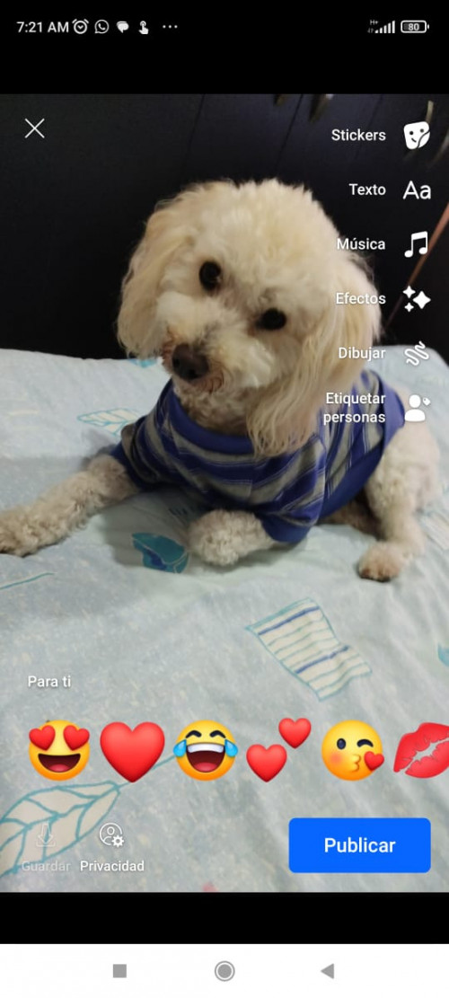 Matías