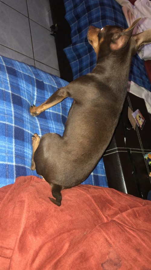 Fiona