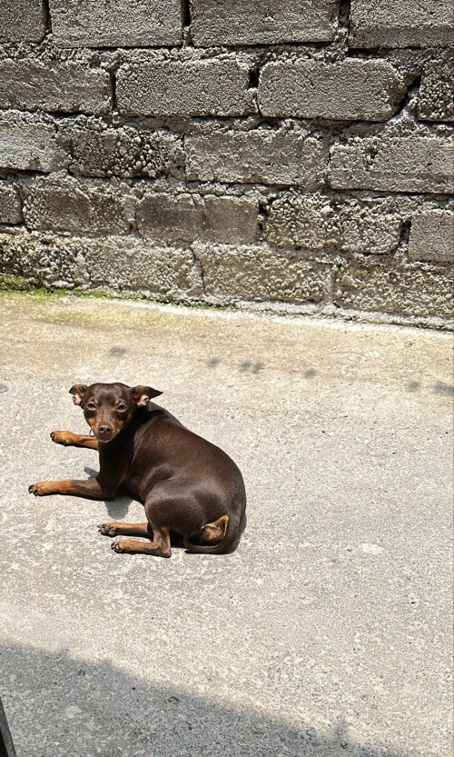 Fiona