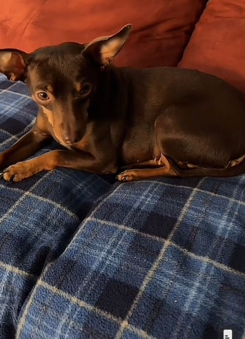 Fiona