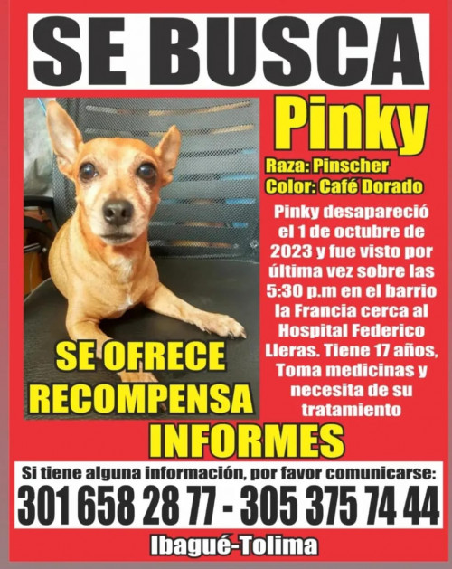 Pinky
