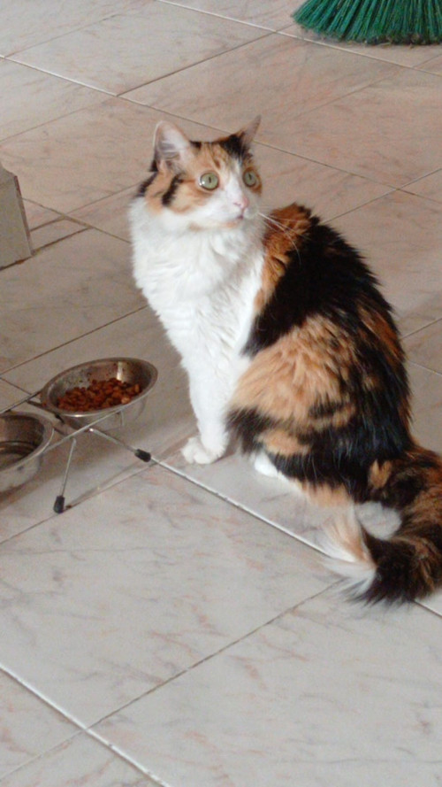 Margarita