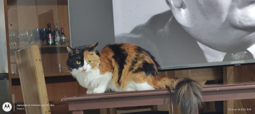 Fiona
