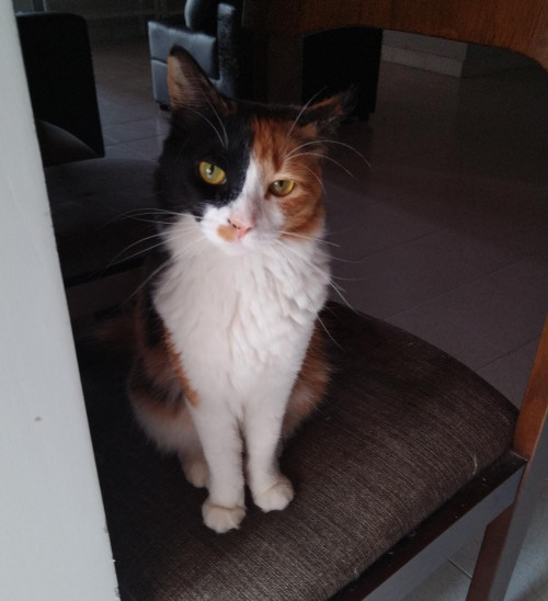 Fiona