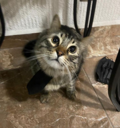 Gary