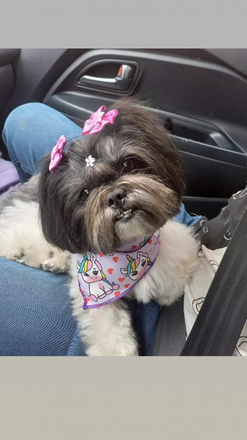 Mindy