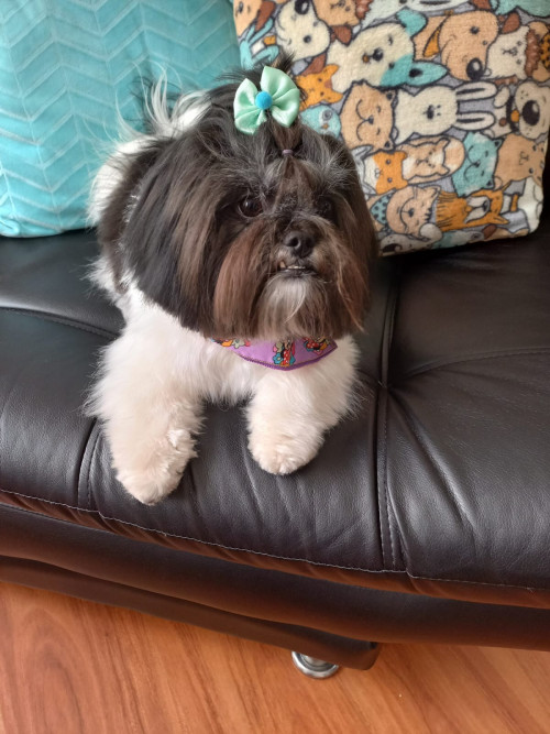 Mindy