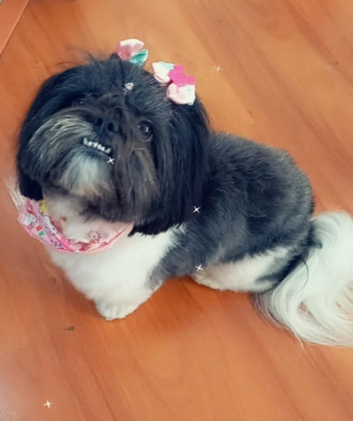 Mindy