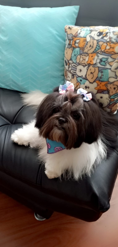 Mindy