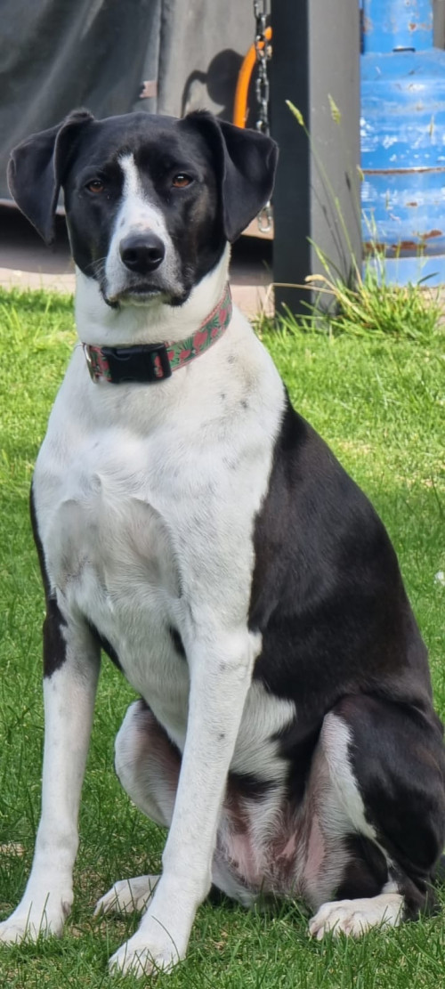 Alma