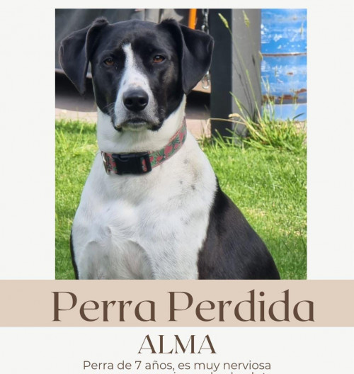 Alma