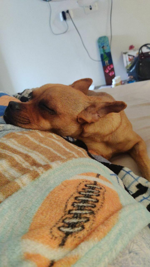Kira