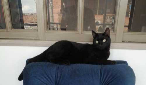 Sombra Calderón