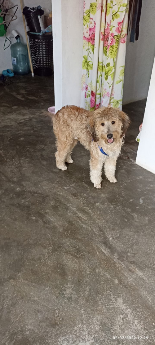Max