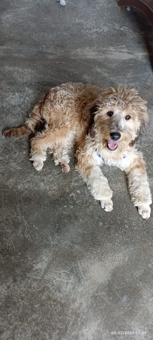Max