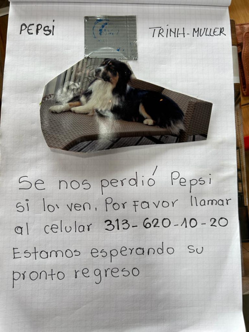 Pepsi