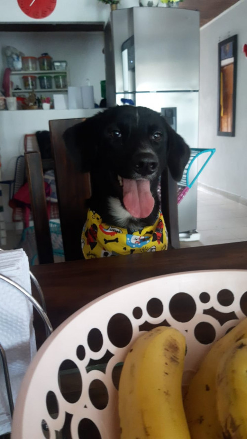 Ares