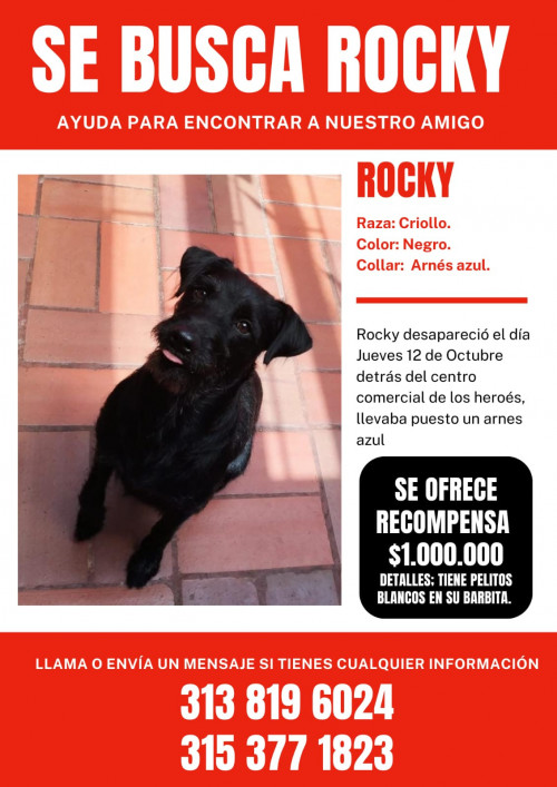 Rocky
