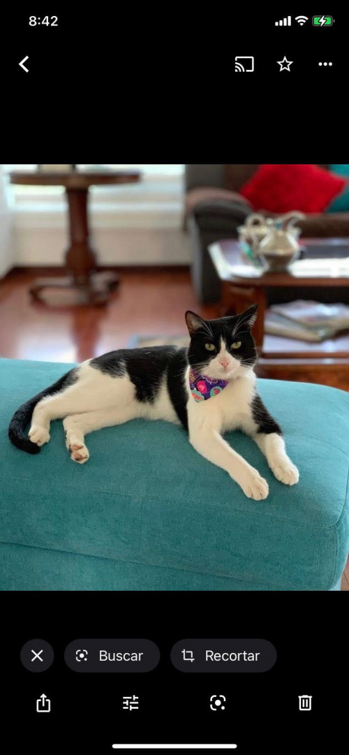 Ramona
