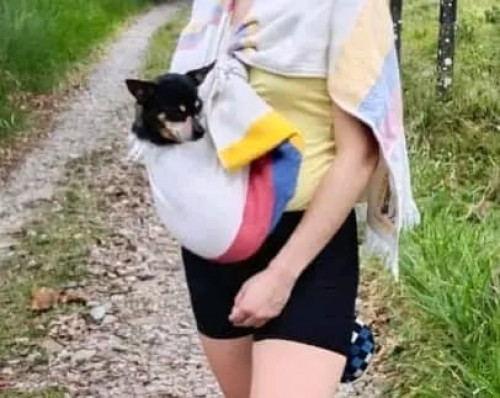 Niña